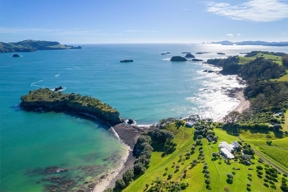 Share 2 Moturoa Island_3