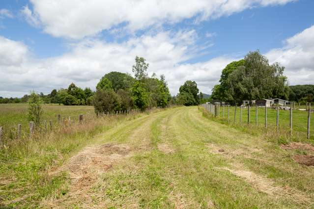 196a Collie Road Te Kowhai_1