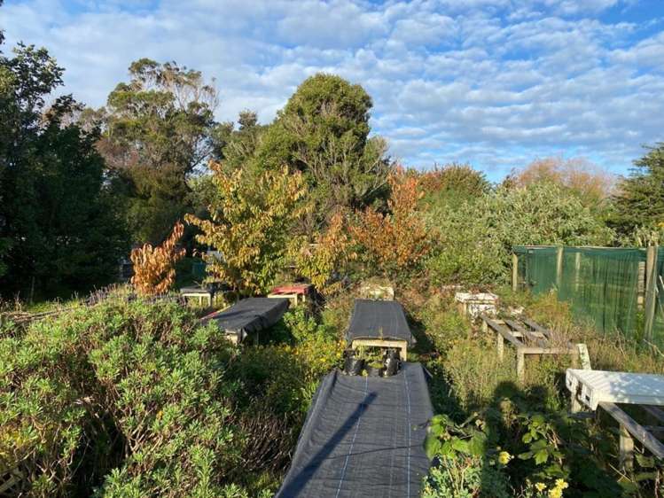 56 Ketemarae Road Normanby_5