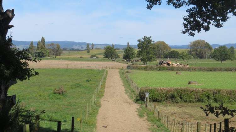 1276 Kakaramea Road Ngahinapouri_15