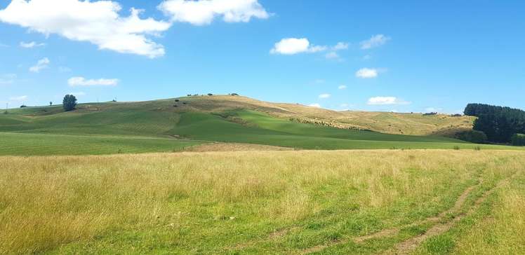 182 Beacon Hill Road Wairuna_1