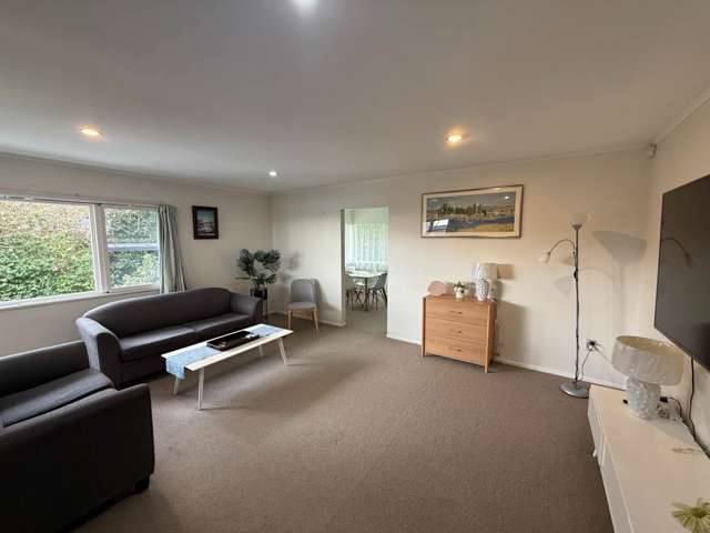 244 Point View Drive East Tamaki Heights_4