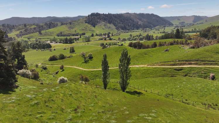 162 Upper Stanley Brook Stanley Brook_5