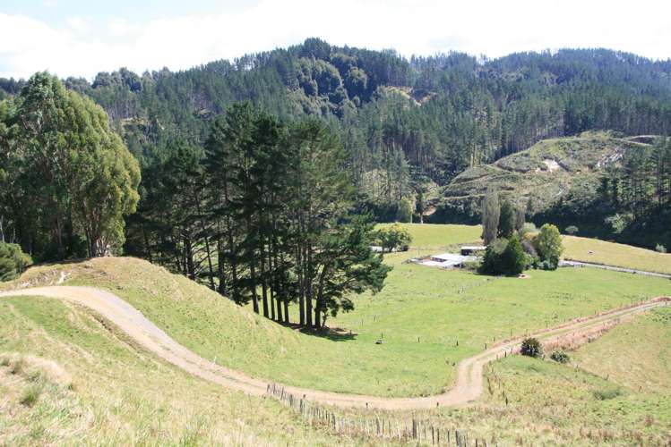 698 Mangaoapa Road Matau_23