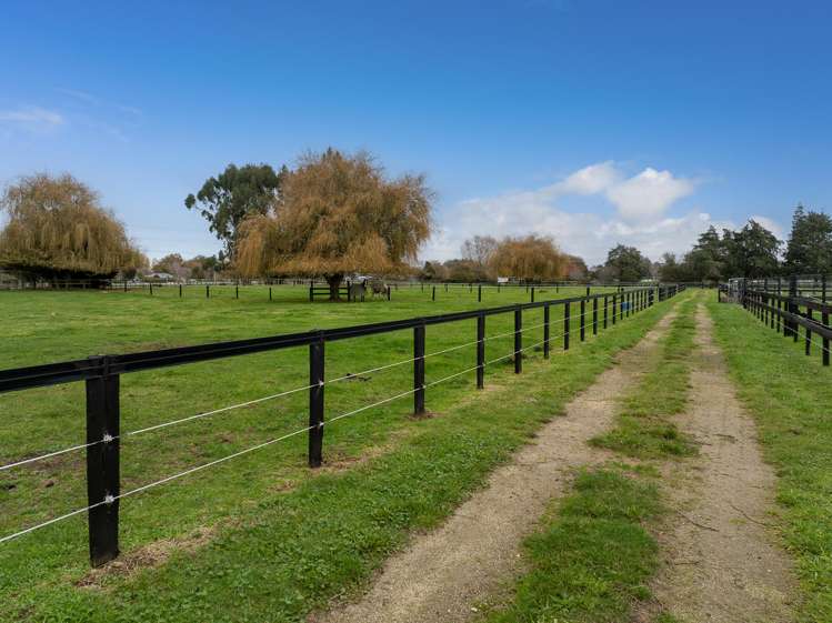 204 Racecourse Road Cambridge_28