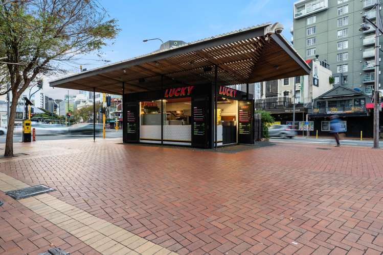 12/14 Alpha Street Te Aro_24