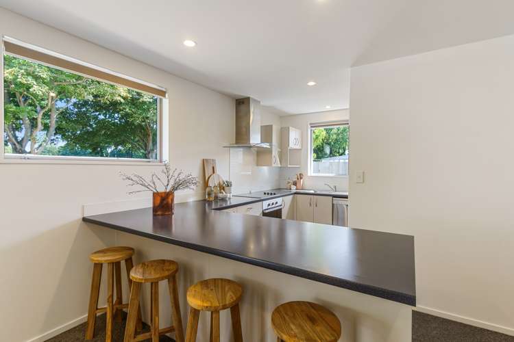 17 Forbes Street Sydenham_2