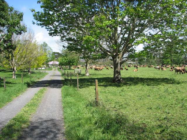 Dairy With Optional 53 Hectare Lease