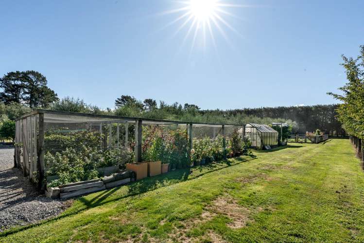 222 Paierau Road Opaki_15