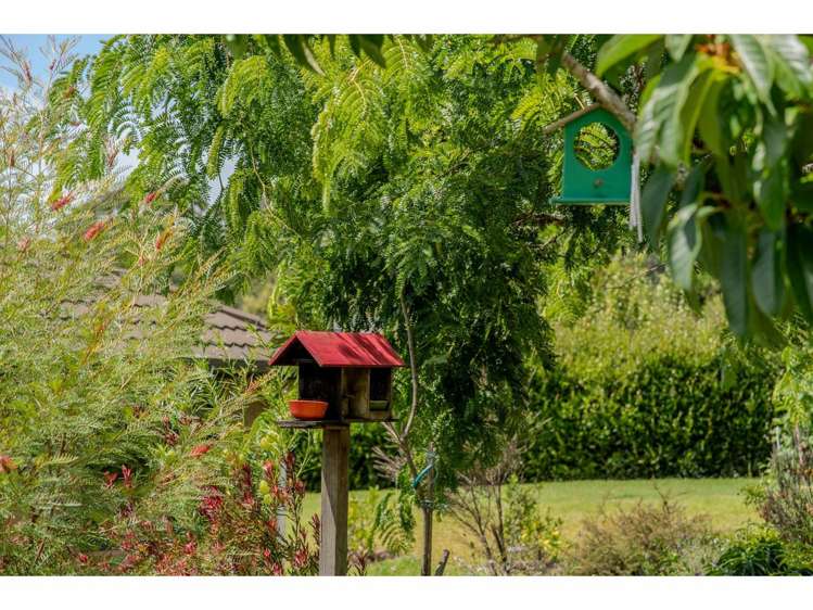 29d Darwin Road Kerikeri_29