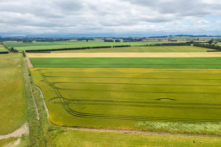 Waireka Road Darfield_7