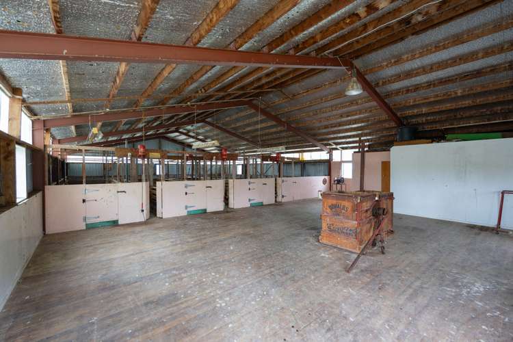 63b Sligo Terrace Roslyn_15