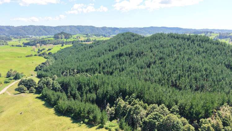 337 Mill Road Kawakawa_18