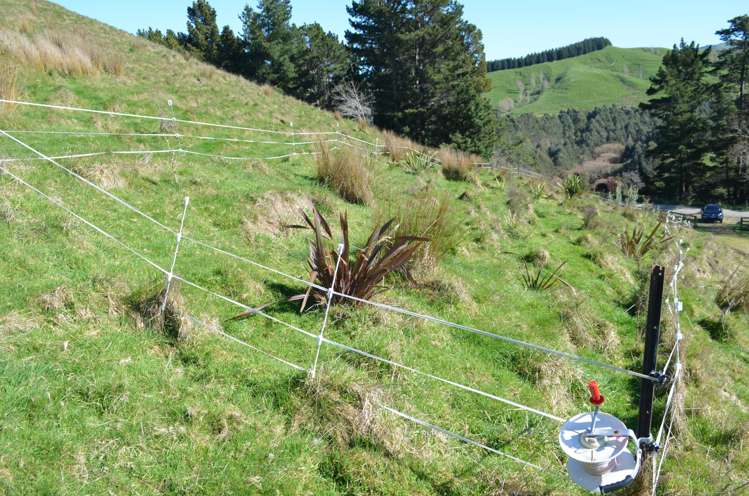 Mangapurupuru Road Bideford_7