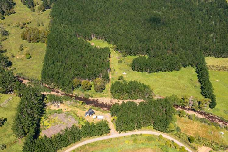 1312 Wekaweka Road Waimamaku_20