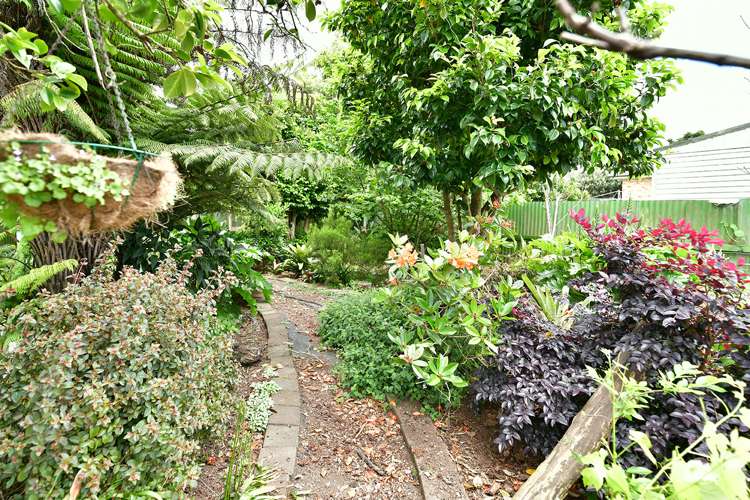 47 Waipani Road Te Atatu Peninsula_8