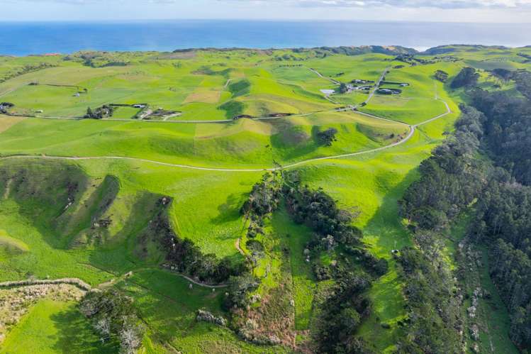 Lots 2, 3 and 4 Mahuta Road Dargaville_12