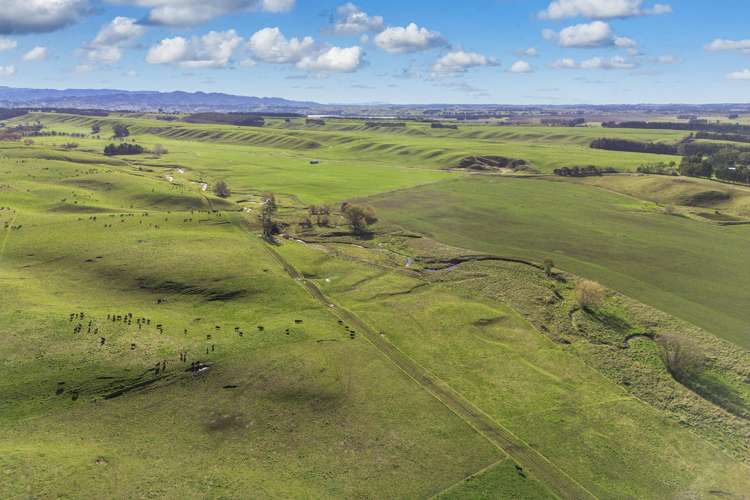 Ngaruru Road Ongaonga_7