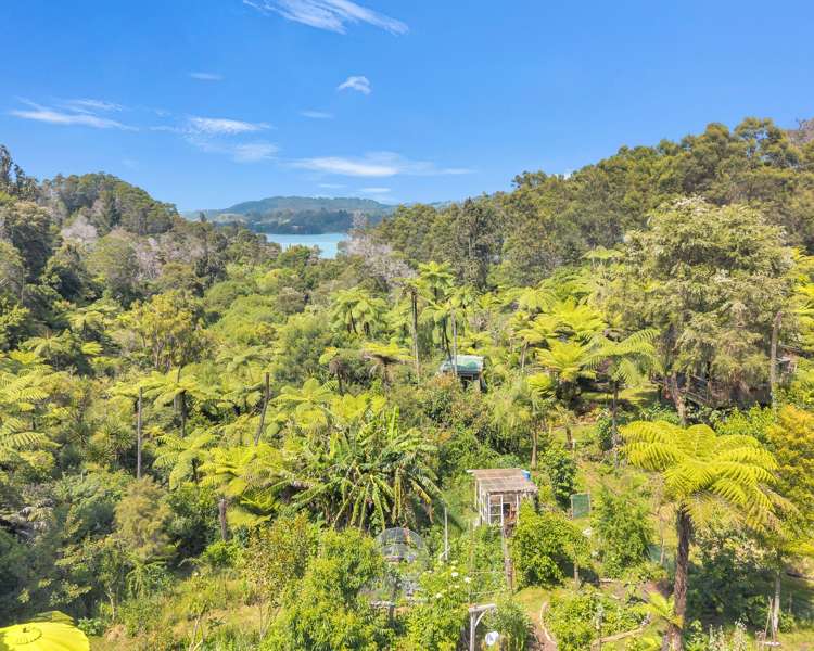 Ohiwa Loop Road Waiotahi_21