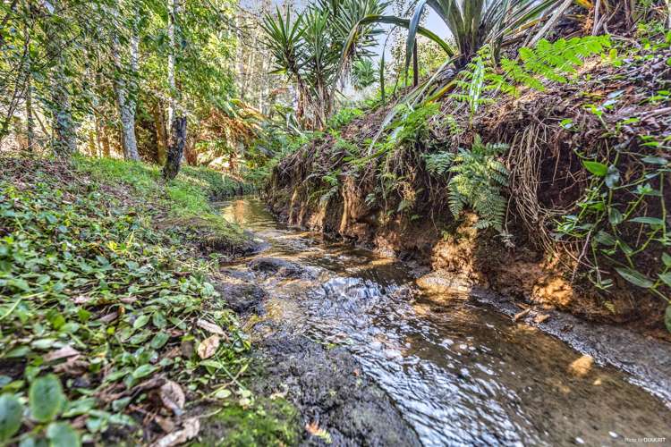 38a Elizabeth Street Tuakau_0