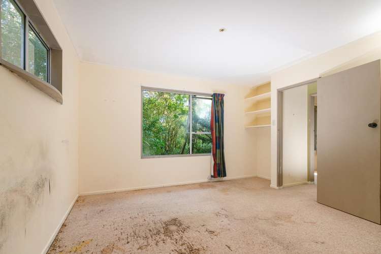 21B Colchester Crescent Newlands_9