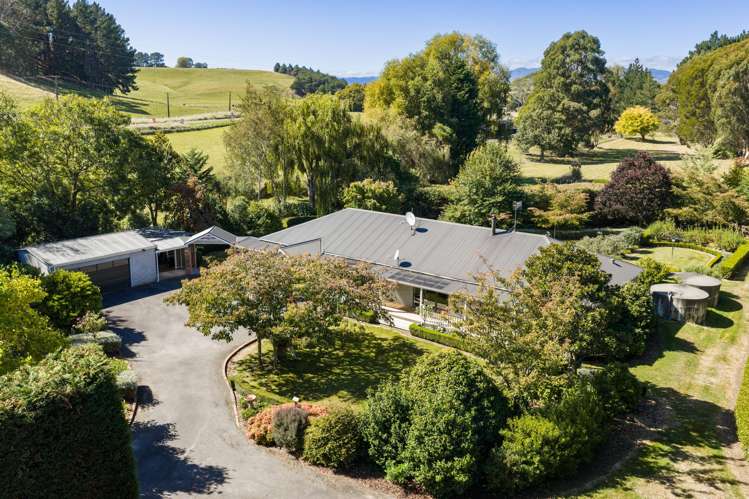 774 Taonui Road Colyton_1