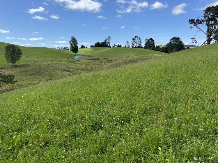 829 Honikiwi Road Otorohanga_34