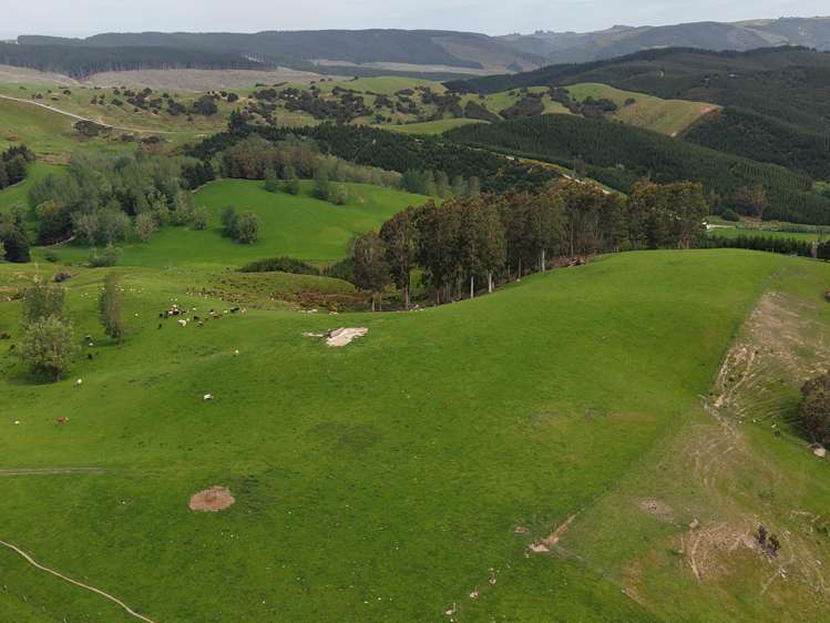 66 Otokia-Kuri Bush Road West Henley_16