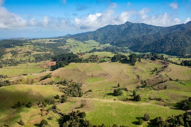 448 Taita Road Waimamaku_11