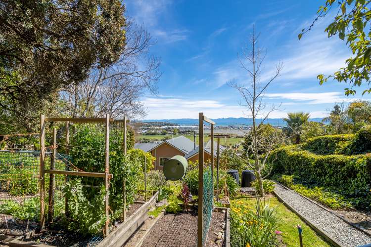 21a Iwa Road The Wood_16