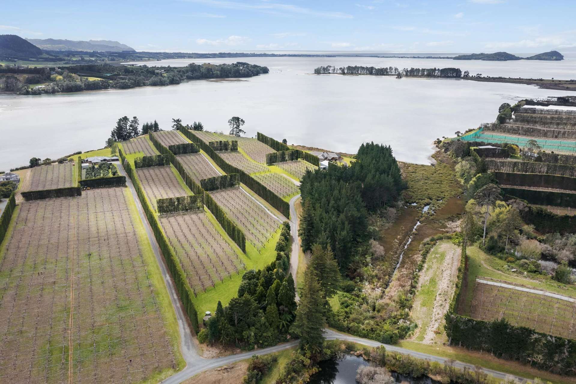 195A Tuapiro Road Katikati_0