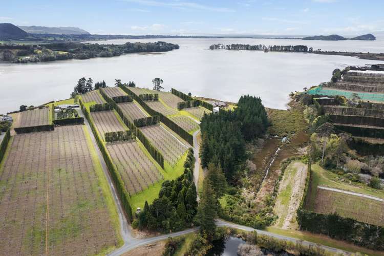 195A Tuapiro Road Katikati_0