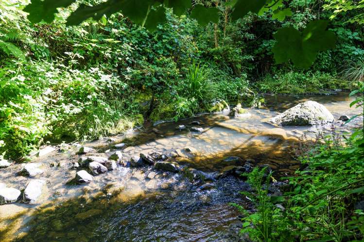 33 Tannadice Street Normanby_22