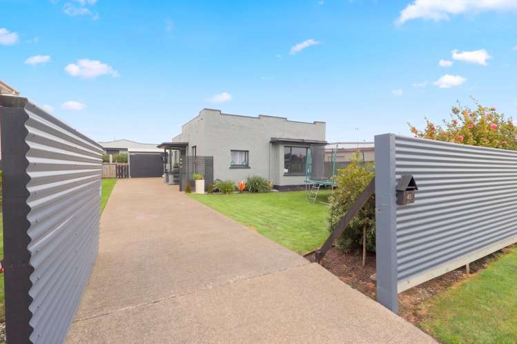 45 Exmouth Street Waverley_16
