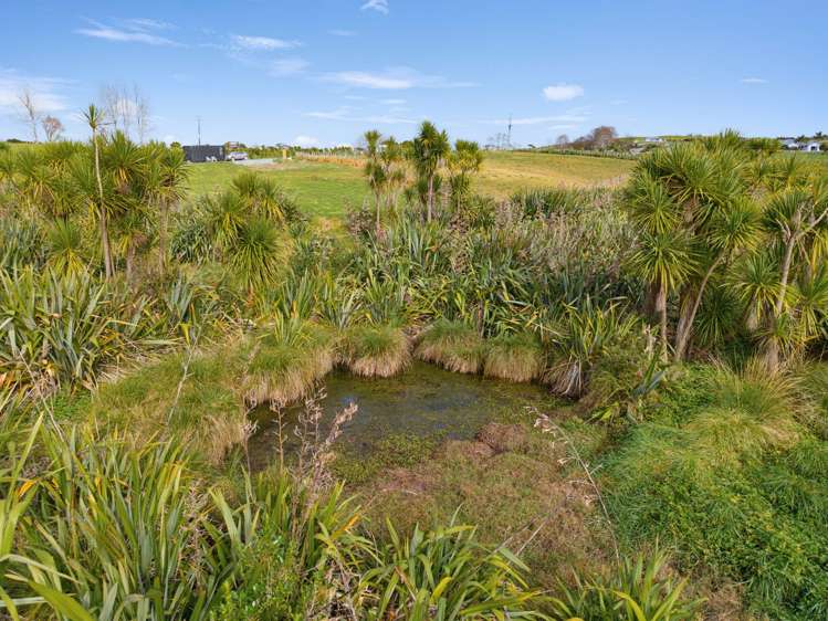 663 Kaiwaka Mangawhai Road Hakaru_9