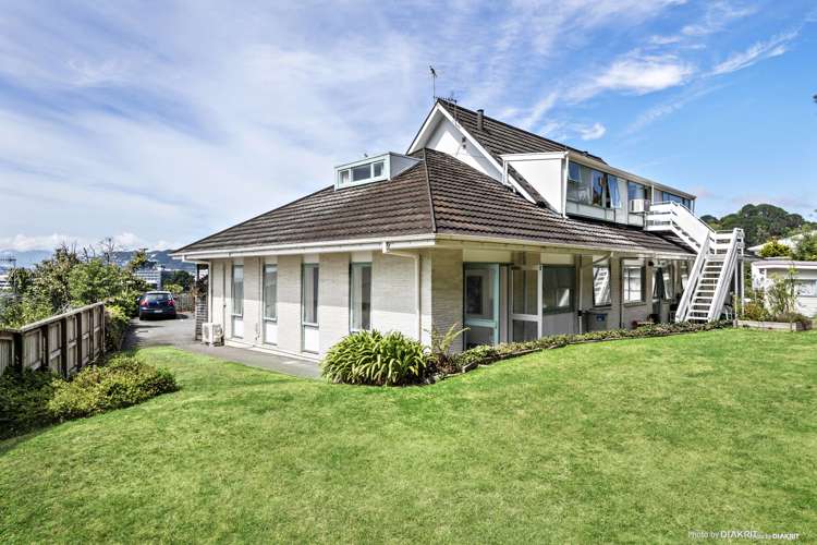 3/15 Upper Lewisville Terrace Thorndon_9