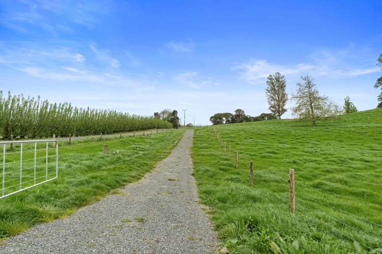 18 Pond Road Matamata_35
