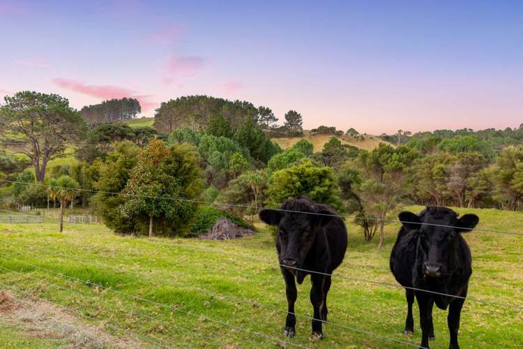 499 Shelly Beach Road South Head_19