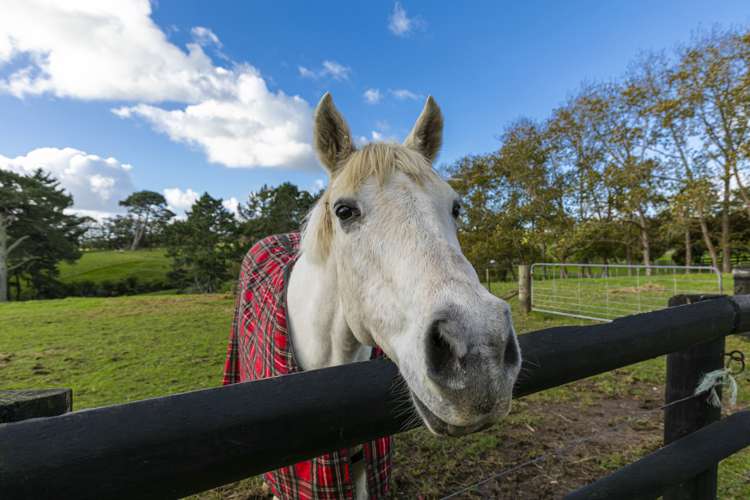 19 Lloyd Road Riverhead_18