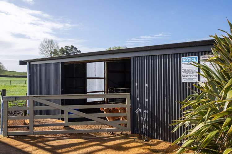 375 Waring Road Taupiri_9