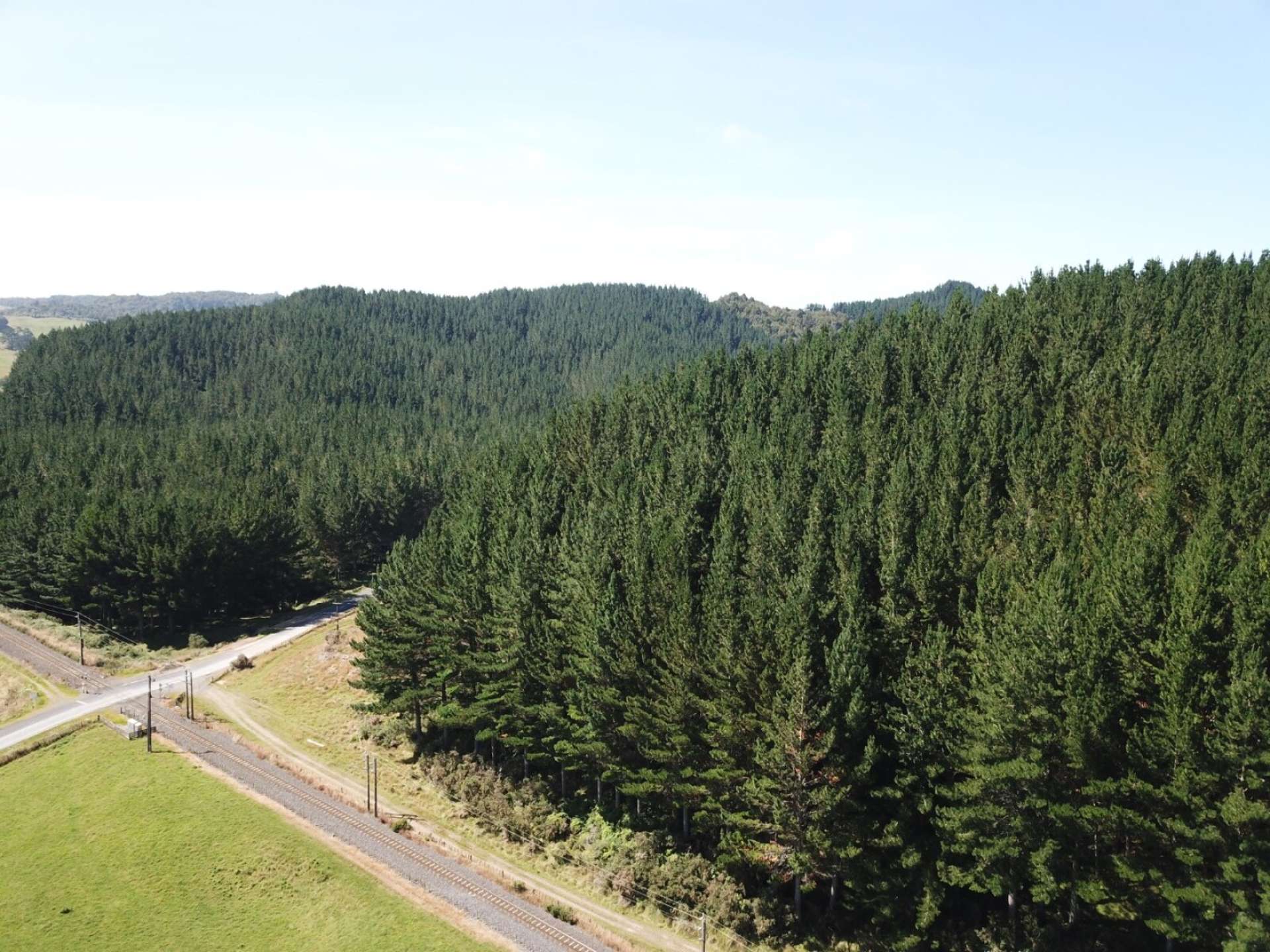 Southland Gisborne_0