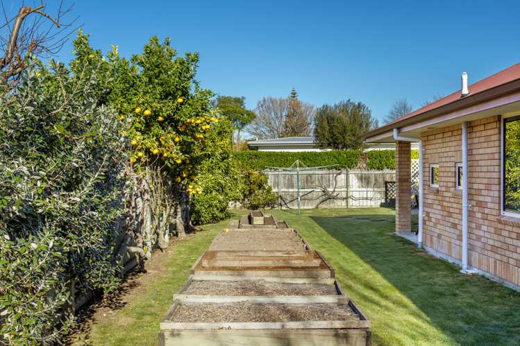 20E Roseneath Lane Springlands_17