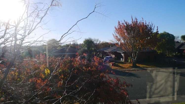 279 Kingsbury Avenue Rangiora_12