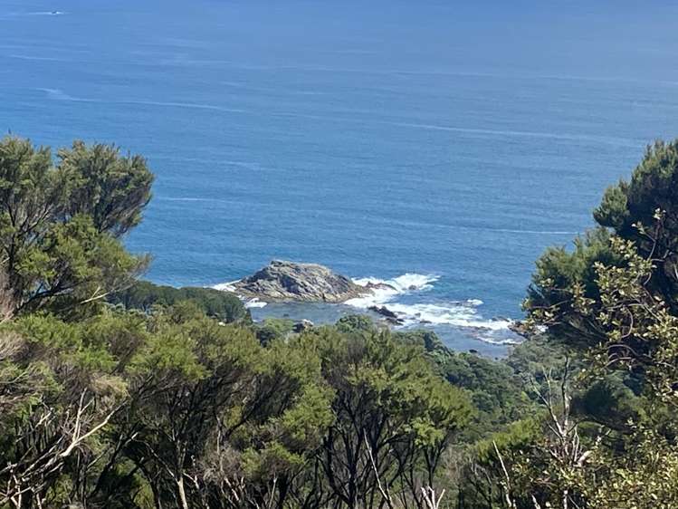 Lot 4/303 Waiaua Road Hihi_9