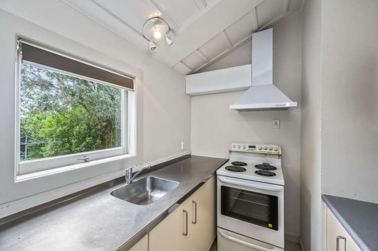 24 St Marys Road Ponsonby_13