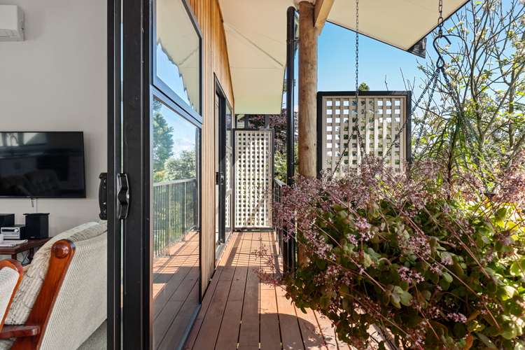 23a Donnelly Street Oakura_22