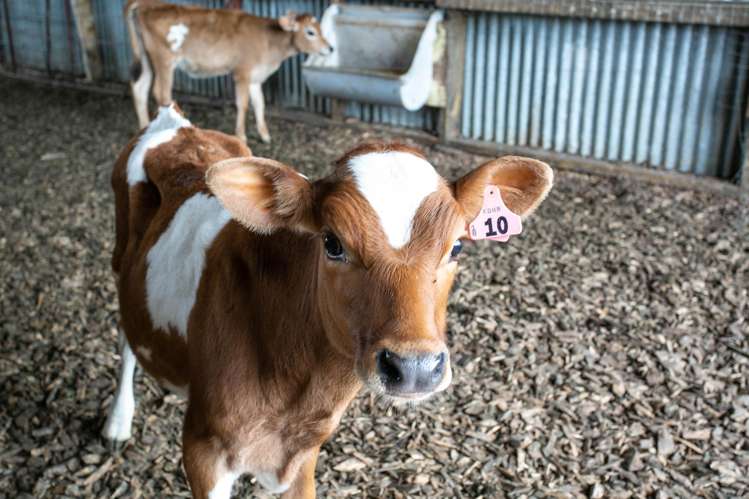 290 Waghorn Road Wardville_14