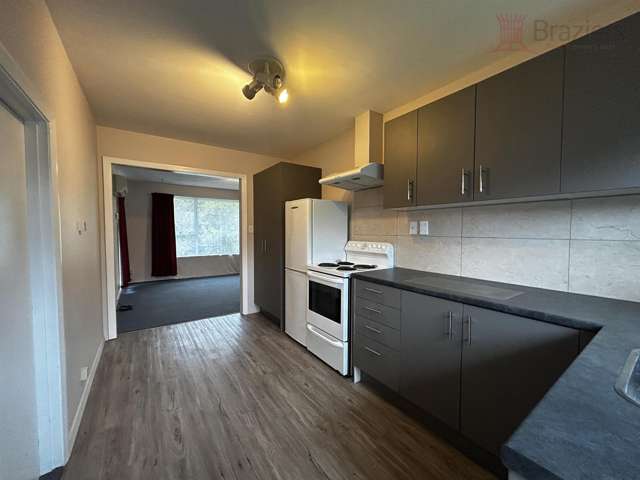 3-38 Lyndon Street Riccarton_3