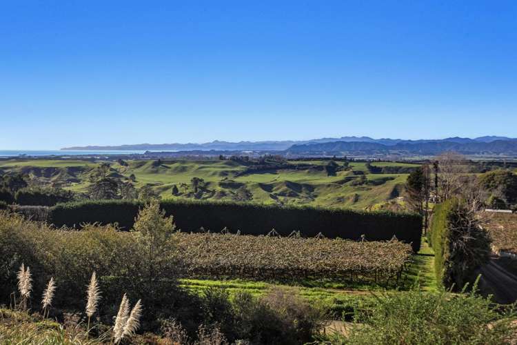 501 Paerata Ridge Road Opotiki and Surrounds_10