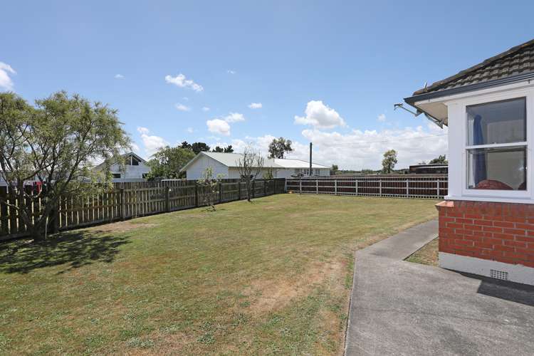 11 Ward Street Bulls_11